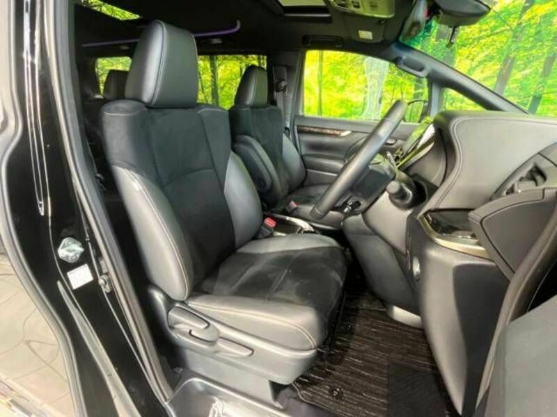 ALPHARD-7