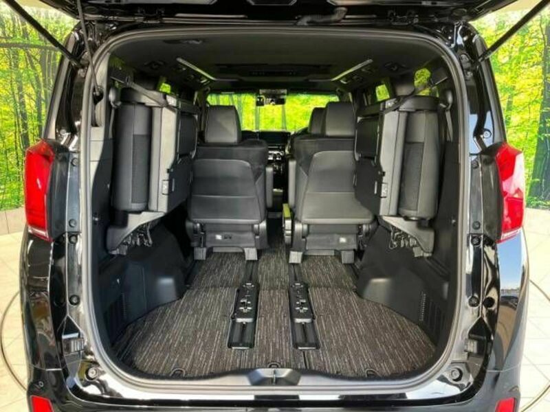 ALPHARD-10