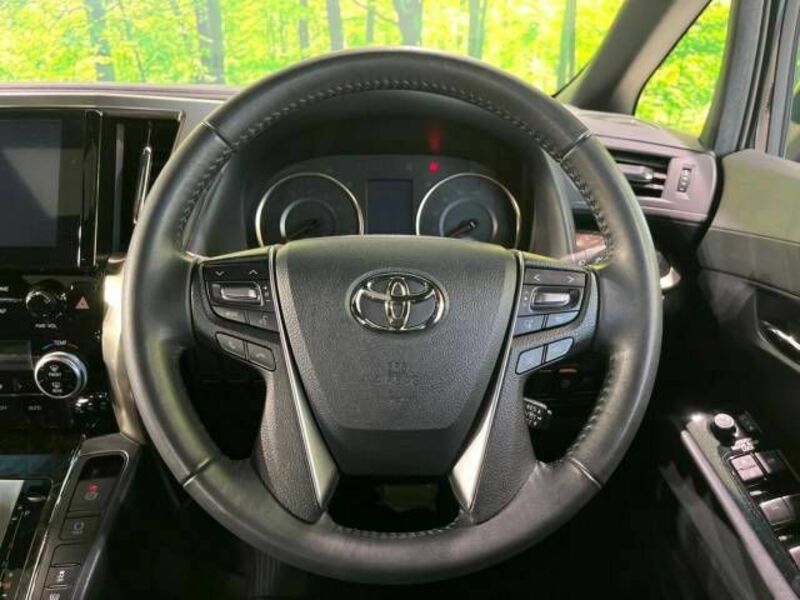 ALPHARD-11