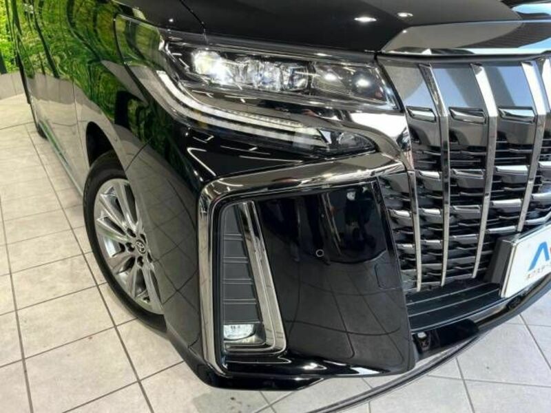 ALPHARD-12