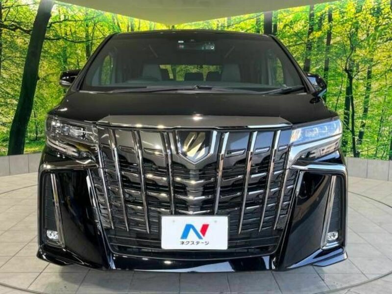 ALPHARD-14