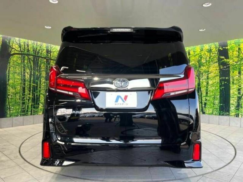 ALPHARD-15
