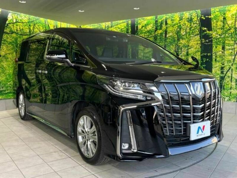 ALPHARD-16