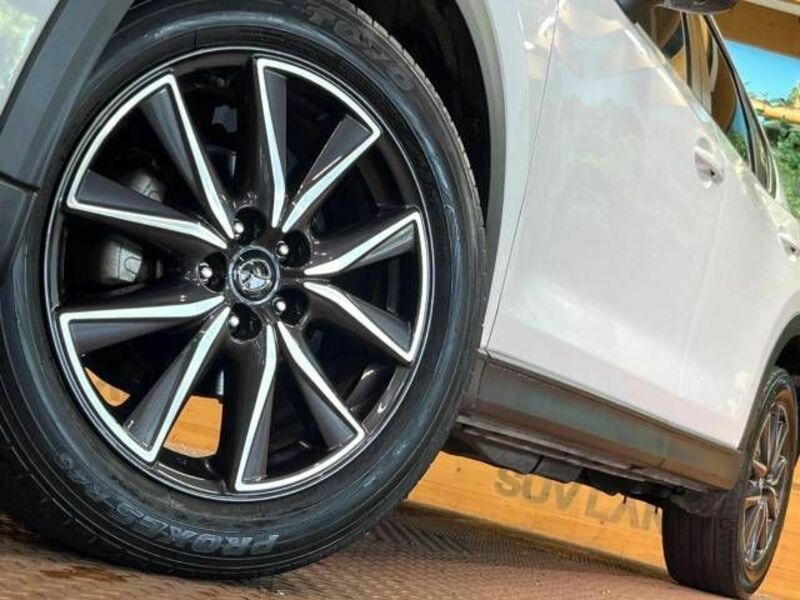 CX-5-13