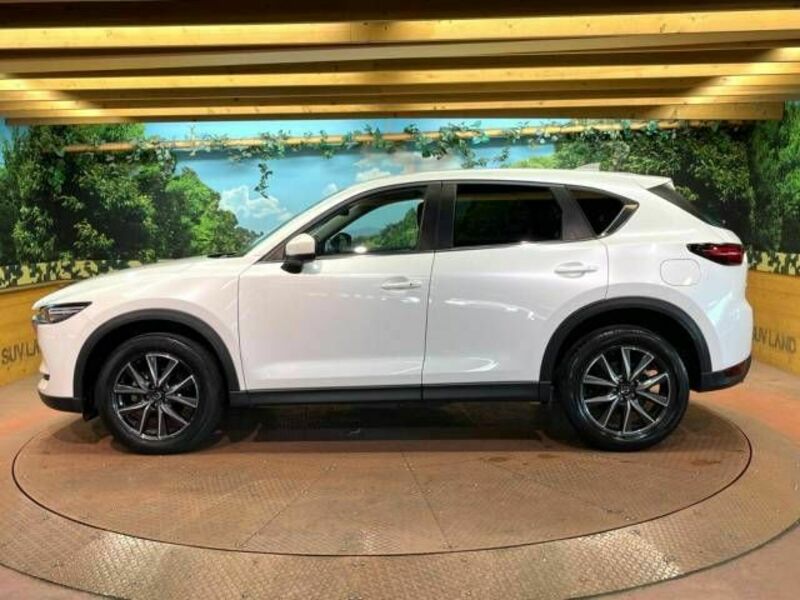 CX-5-17