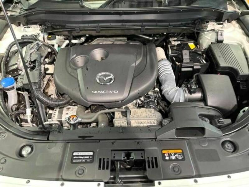 CX-5-18