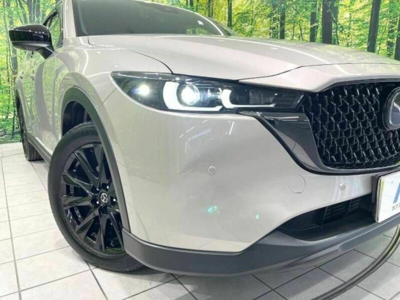 CX-8-12