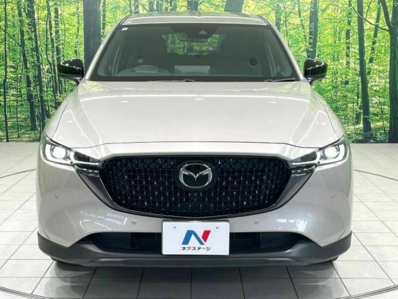 CX-8-14