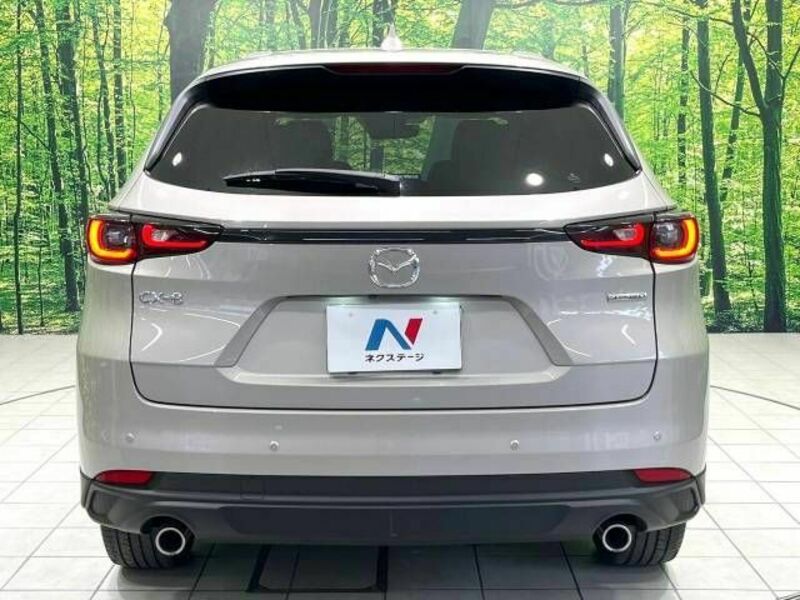CX-8-15