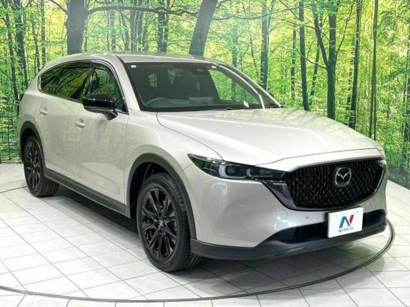 CX-8-16