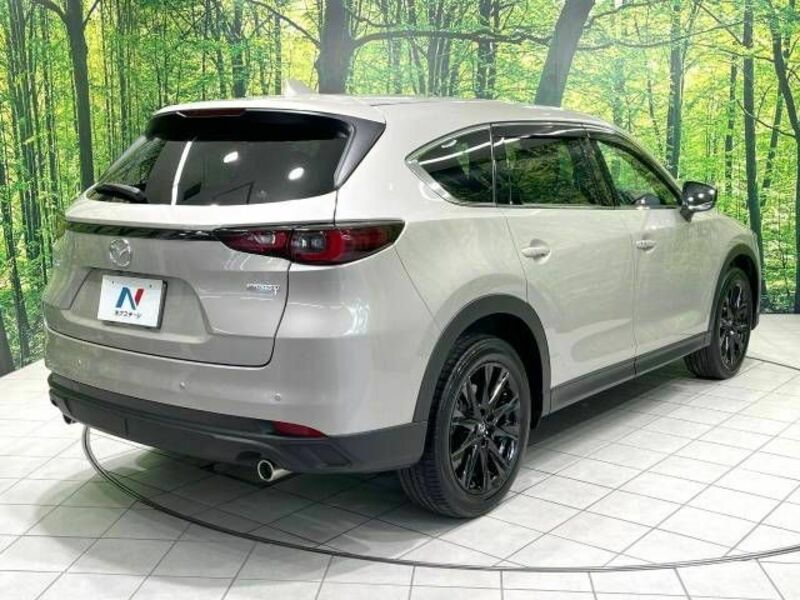 CX-8-17