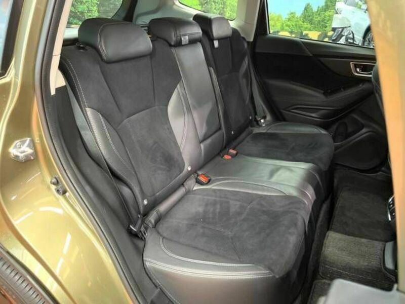 FORESTER-9
