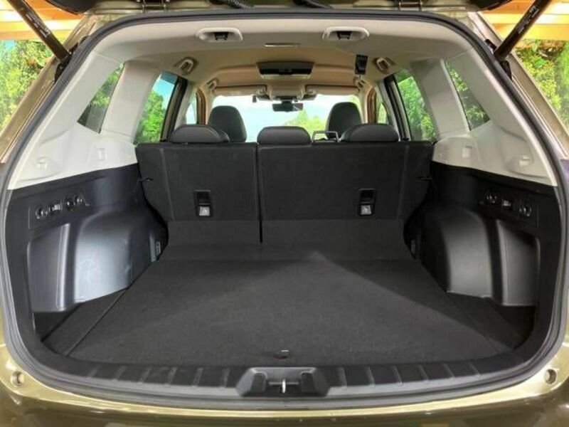 FORESTER-10