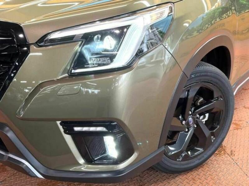 FORESTER-12