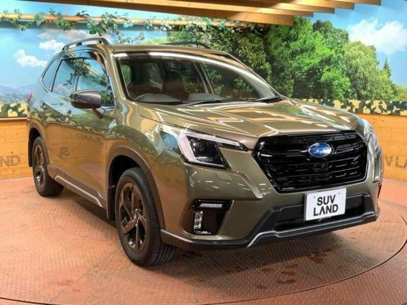 FORESTER-16