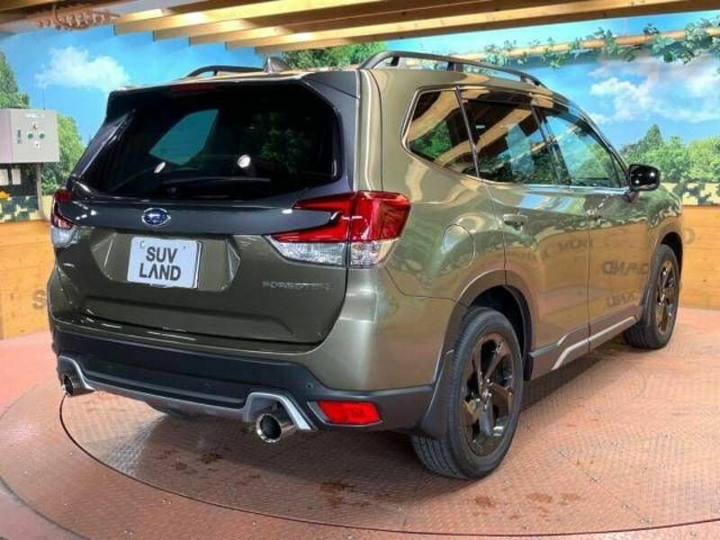FORESTER-17