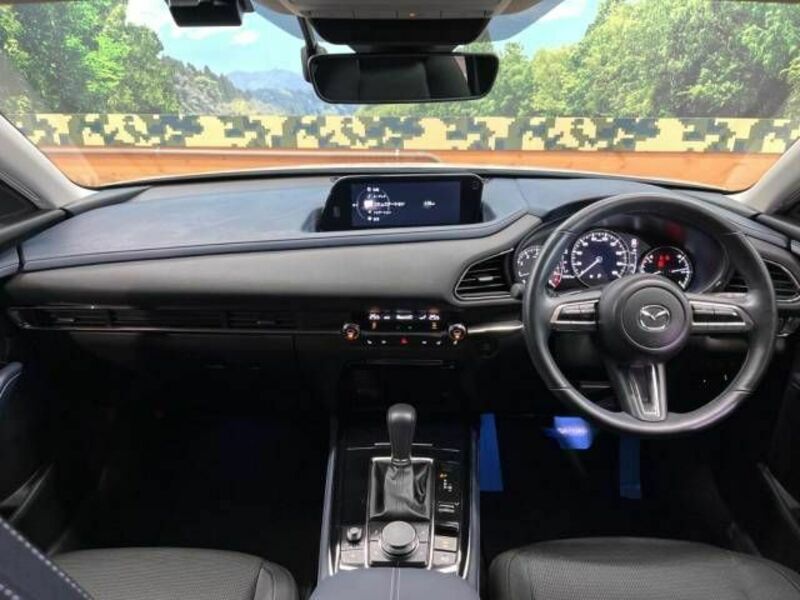CX-30