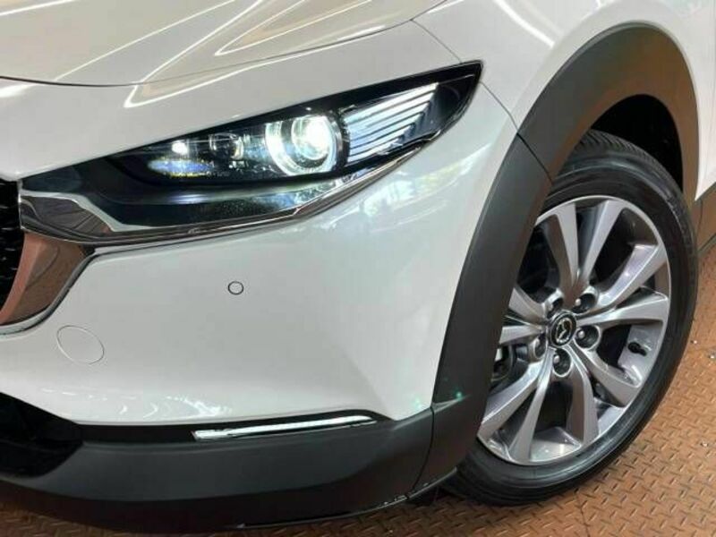 CX-30