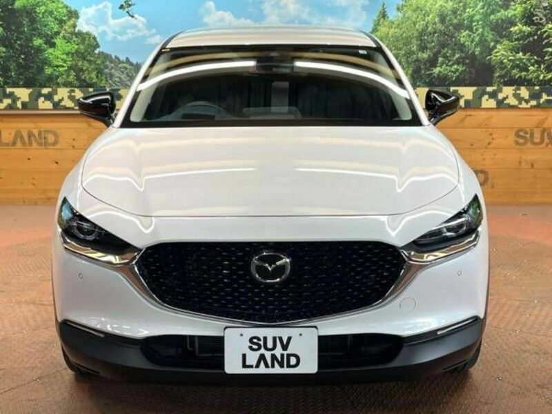 CX-30