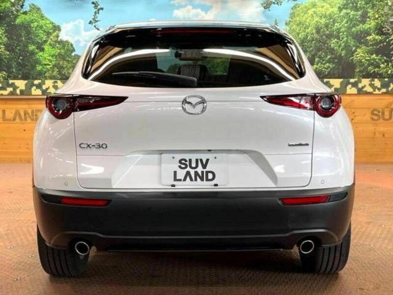CX-30