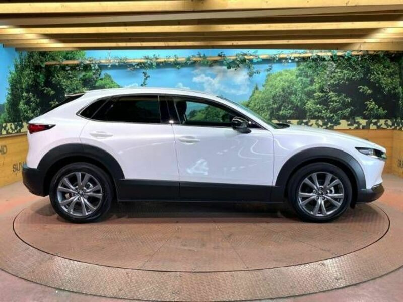 CX-30