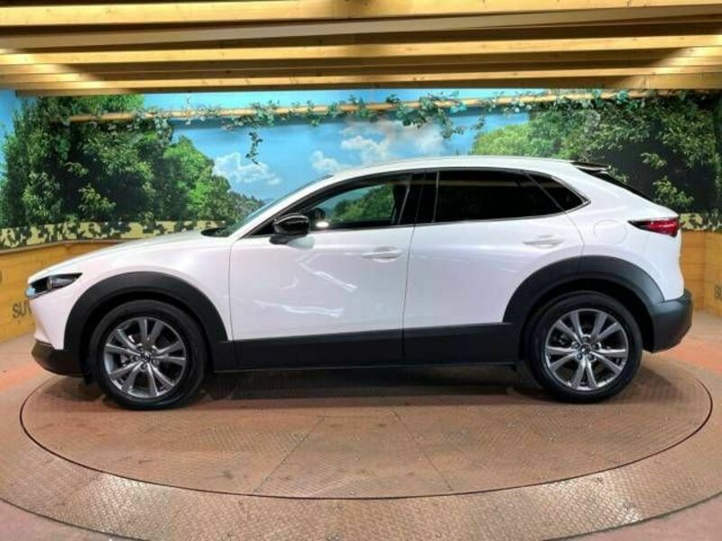 CX-30