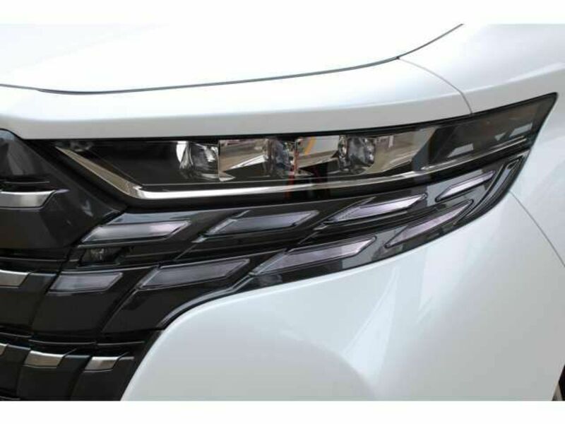 ALPHARD-11