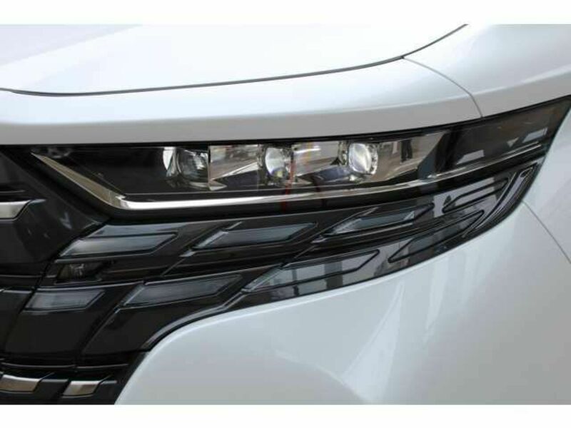 ALPHARD-12