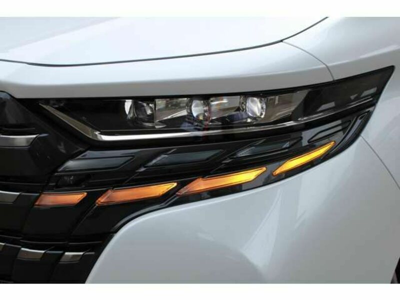 ALPHARD-13