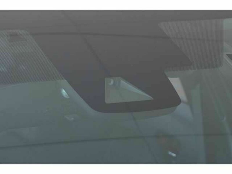 PRIUS-16
