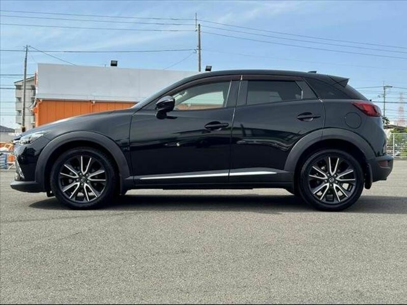 CX-3-11