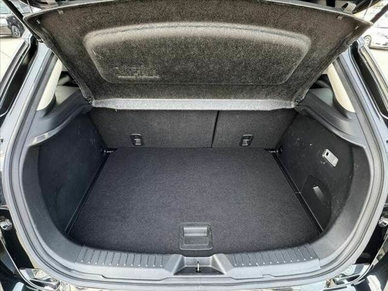 CX-3-19