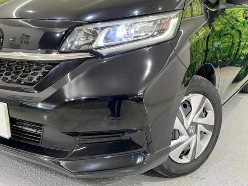FREED HYBRID-13
