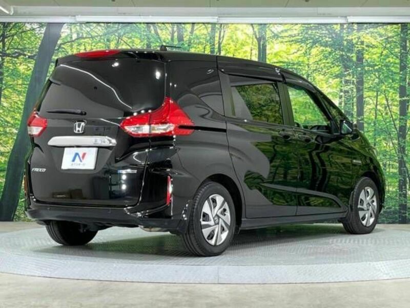 FREED HYBRID-17