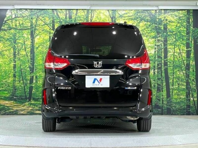 FREED HYBRID-18
