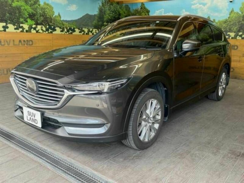 CX-8-12