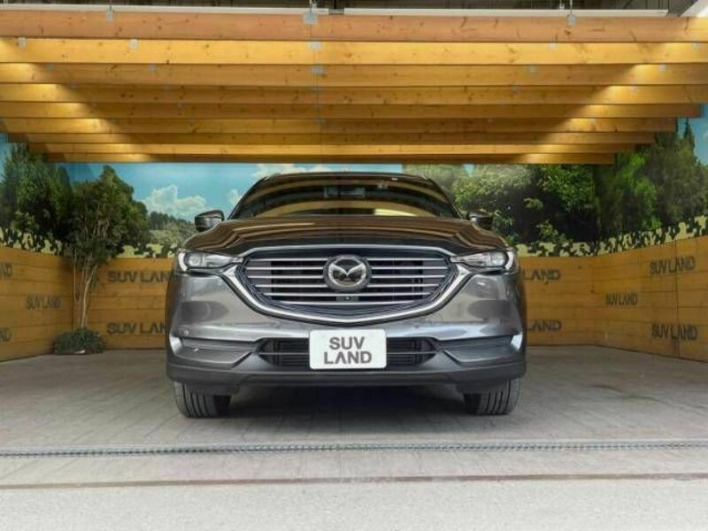 CX-8-14