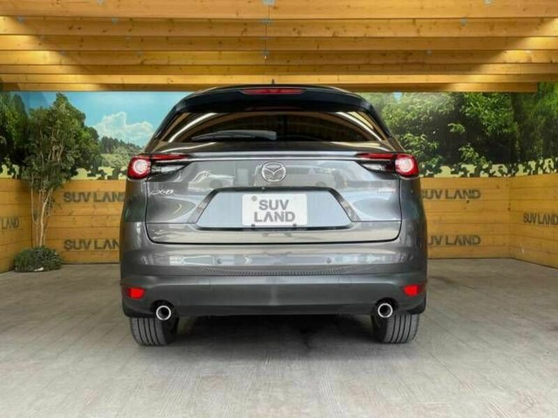 CX-8-15
