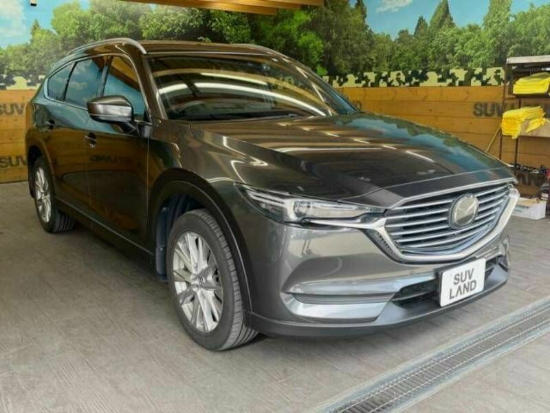 CX-8-16