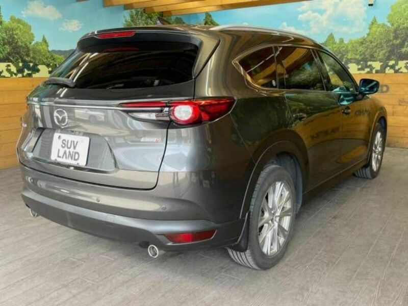 CX-8-17