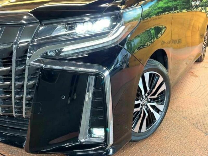 ALPHARD-14