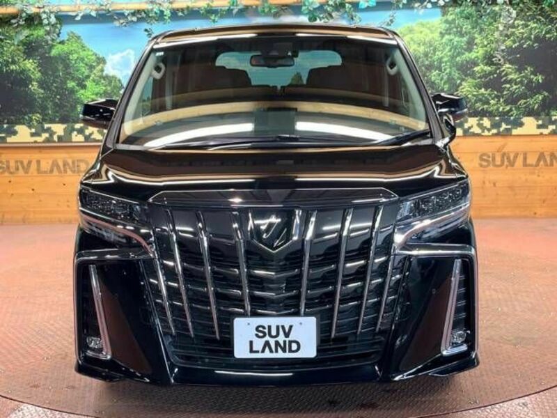 ALPHARD-16