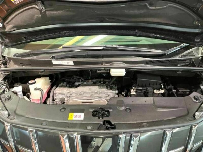 ALPHARD-18
