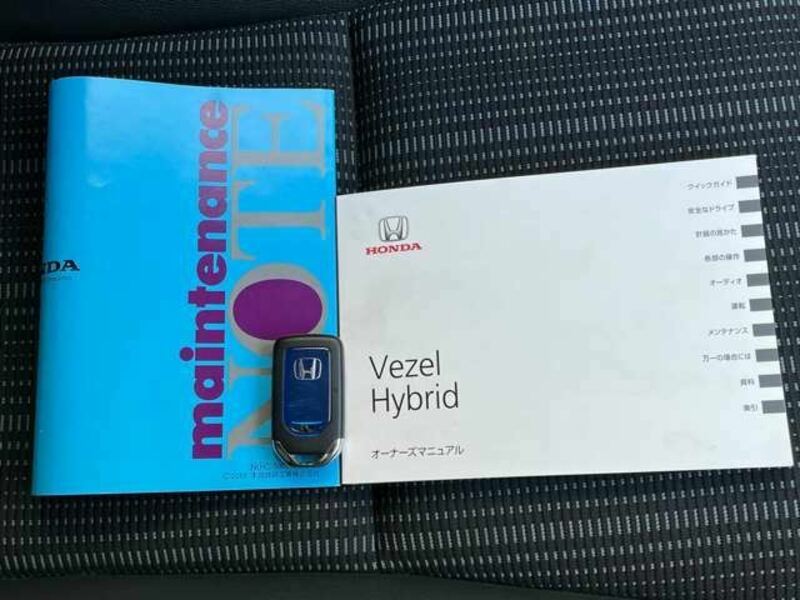 VEZEL-19
