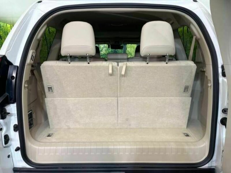 LAND CRUISER PRADO-10