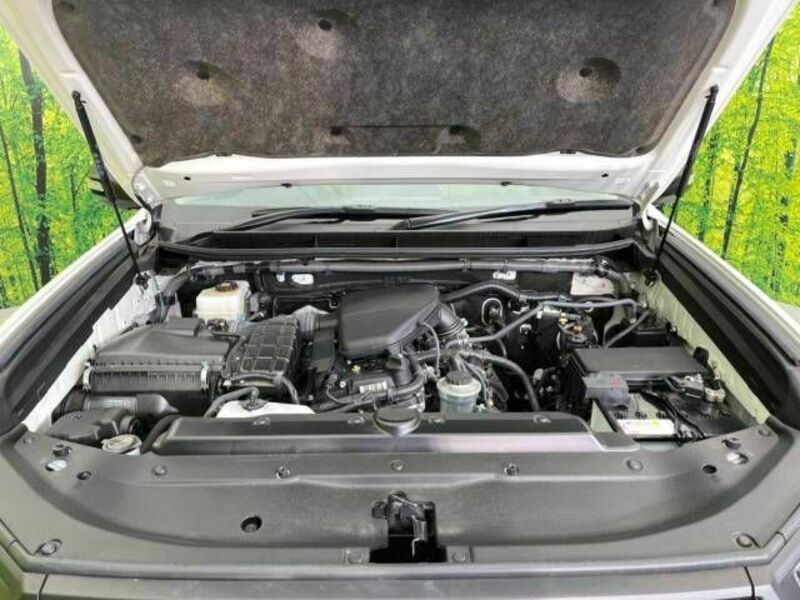 LAND CRUISER PRADO-18