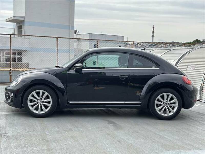 THE BEETLE-2