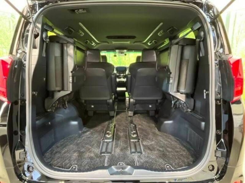 ALPHARD-10