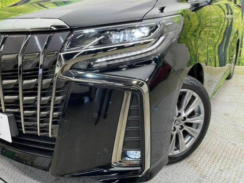 ALPHARD-12