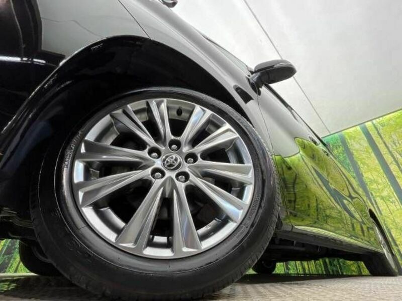 ALPHARD-13